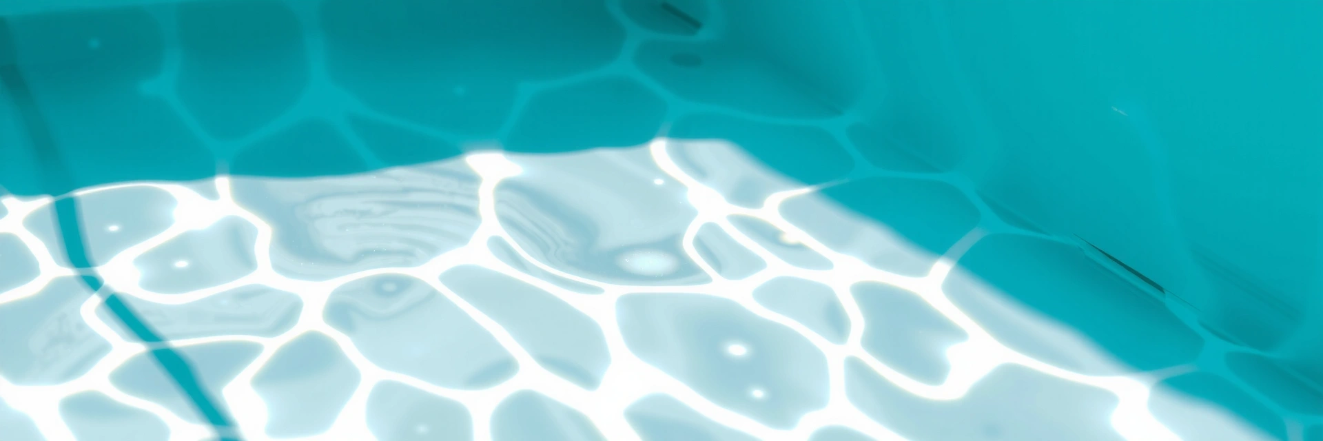 Fluid wellness visual